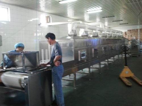 微波殺菌機(jī)