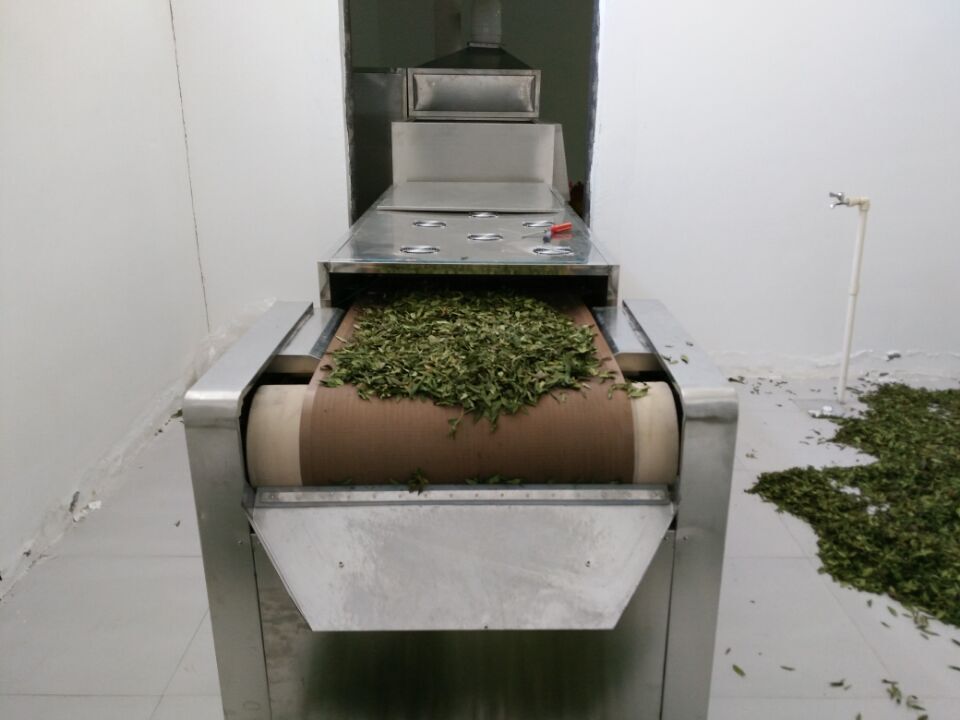 桑葉茶微波殺青機(jī)