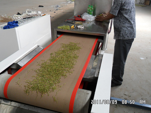 荷葉微波殺青機(jī)