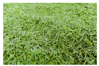 特種茶微波殺青機(jī)-大巴山藥材